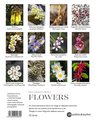 Calendar 2022 New Zealand Native Flowers