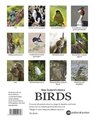 Calendar 2022 New Zealand Native Birds