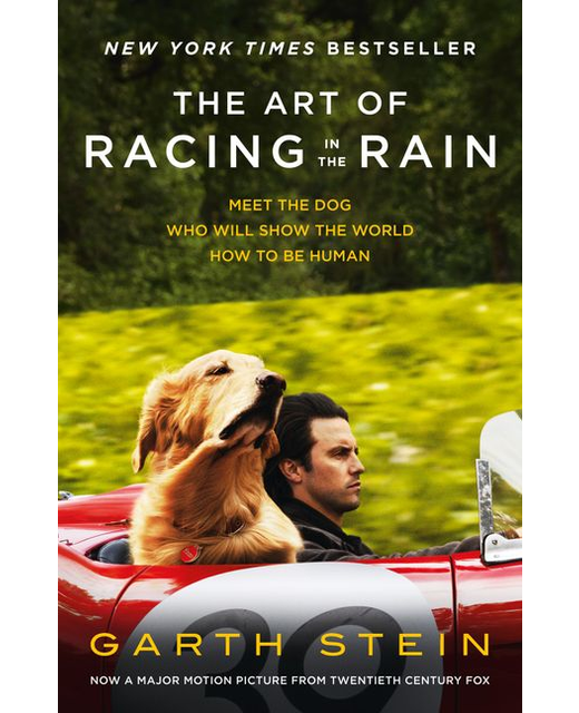 The Art of Racing in the Rain