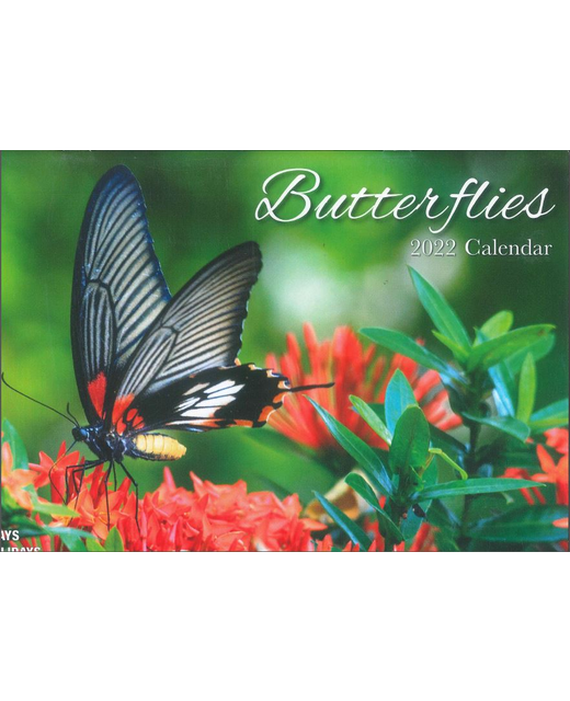 Calendar 2022 Big Print Butterflies