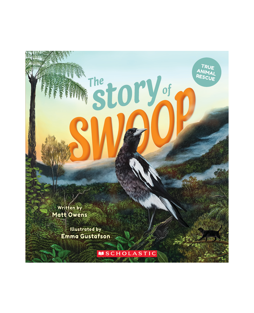 The Story of Swoop