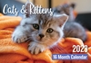 BISCAY 2023 Cats & Kittens 16 MONTH CALENDAR