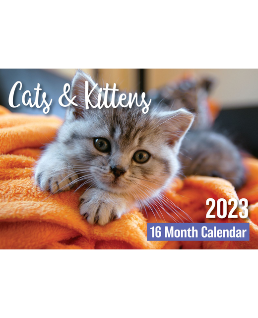 BISCAY 2023 Cats & Kittens 16 MONTH CALENDAR