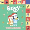 BLUEY 12 DAYS OF CHRISTMAS