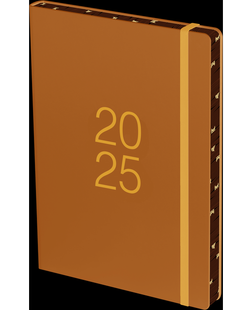 2025 Collins Diary A51 Day Per Page Colour Edge Blue