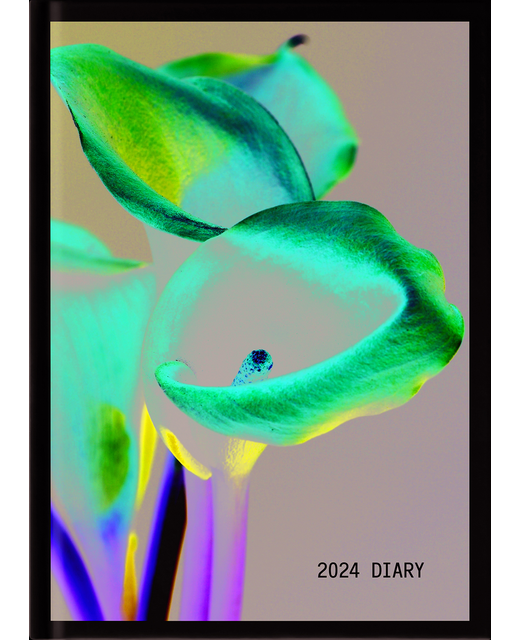 DIARY 2024 Collins Diary A61 Floral Even Year