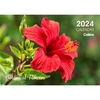 Collins Rosebank Wall Calendar A4 NZ Floral Even Year