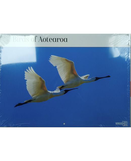 CALENDAR 2024 BIRDS OF AOTEAROA