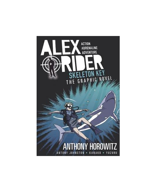 ALEX RIDER SKELETON KEY