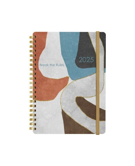 2025 Collins Diary A51 Contemporary Art