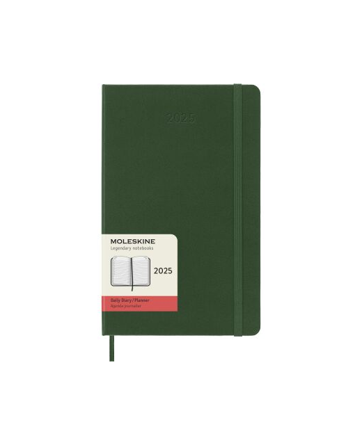 2025 Moleskine Diary 12 Month Daily HC Large Myrtle Green