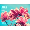 2025 Collins Wall Calendar A4 NZ Floral