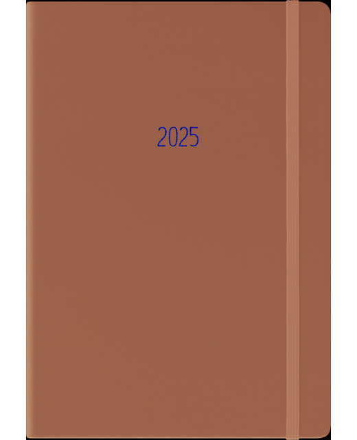 2025 Collins Diary A51 Gratitude & Goals