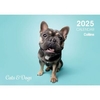 2025 Collins Wall Calendar A4 Cats & Dogs