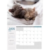 2025 Collins Wall Calendar A4 Cats & Dogs