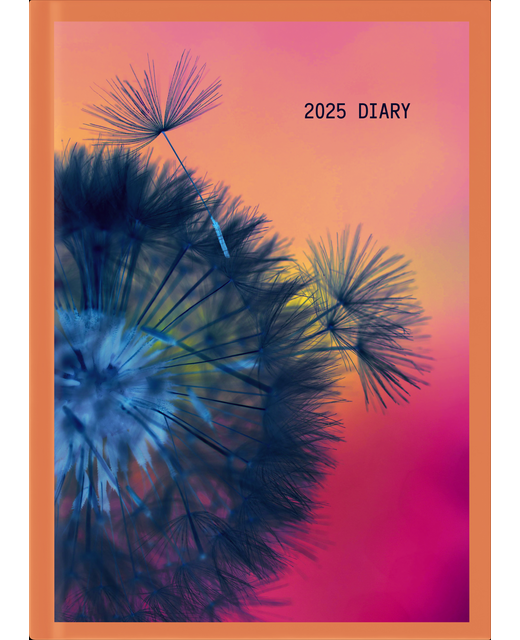 2025 Collins A51 Floral Day to Page Diary