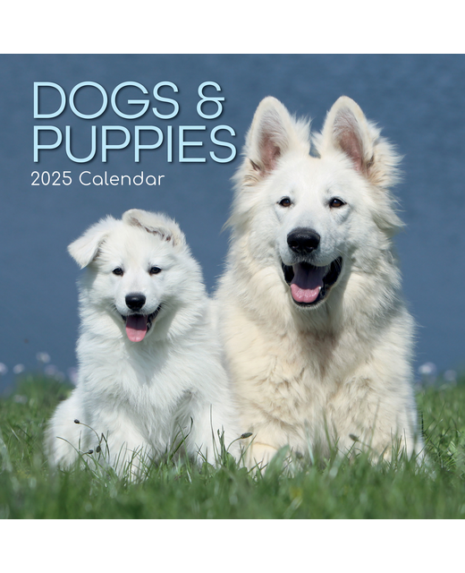 2025 SQUARE CALENDAR DOGS & PUPPIES