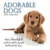 2025 SQUARE CALENDAR ADORABLE DOGS