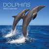 2025 SQUARE CALENDAR DOLPHINS