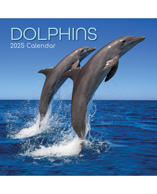 2025 SQUARE CALENDAR DOLPHINS