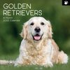 2025 SQUARE CALENDAR GOLDEN RETRIEVERS