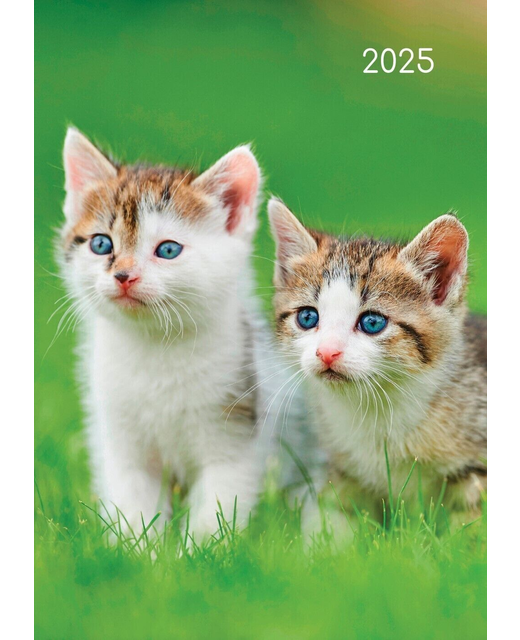 DIARY A5 PADDED 2025 CATS & KITTENS