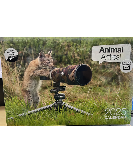 CALENDAR 2025 ANIMAL ANTICS