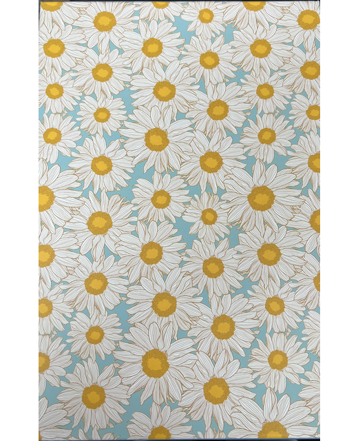 HAZY DAISIES GIFT BOX 10