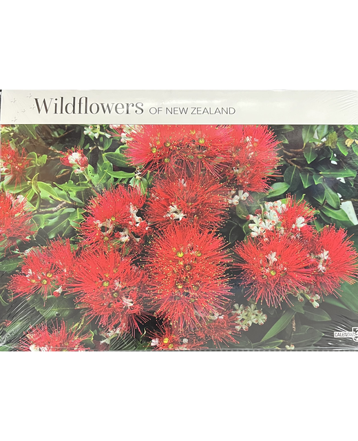 2025 CALENDAR WILDFLOWERS OF NZ