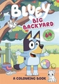 BLUEY: BIG BACKYARD