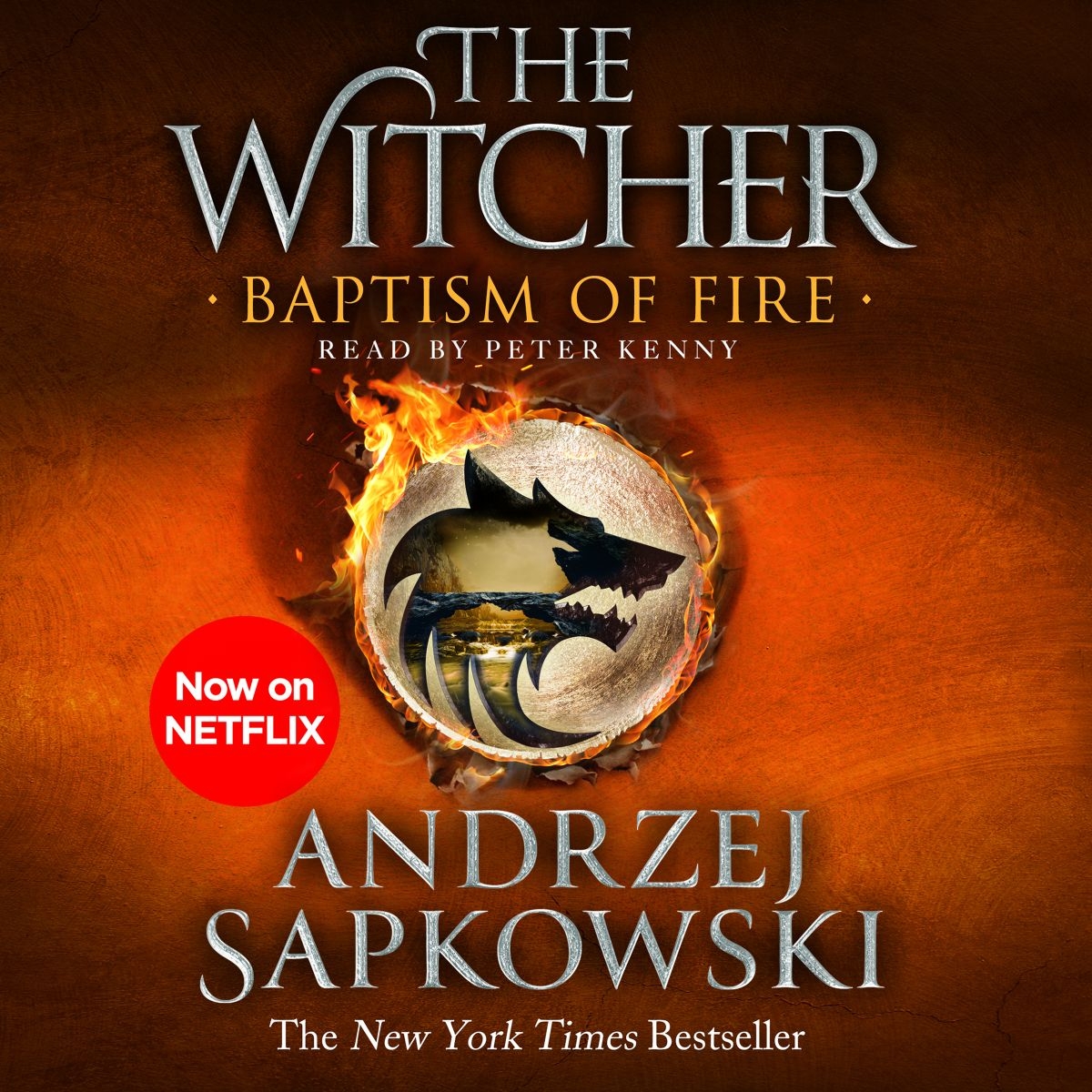 the witcher book