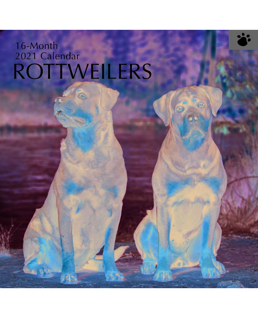 2021 SQUARE CALENDAR ROTTWEILERS