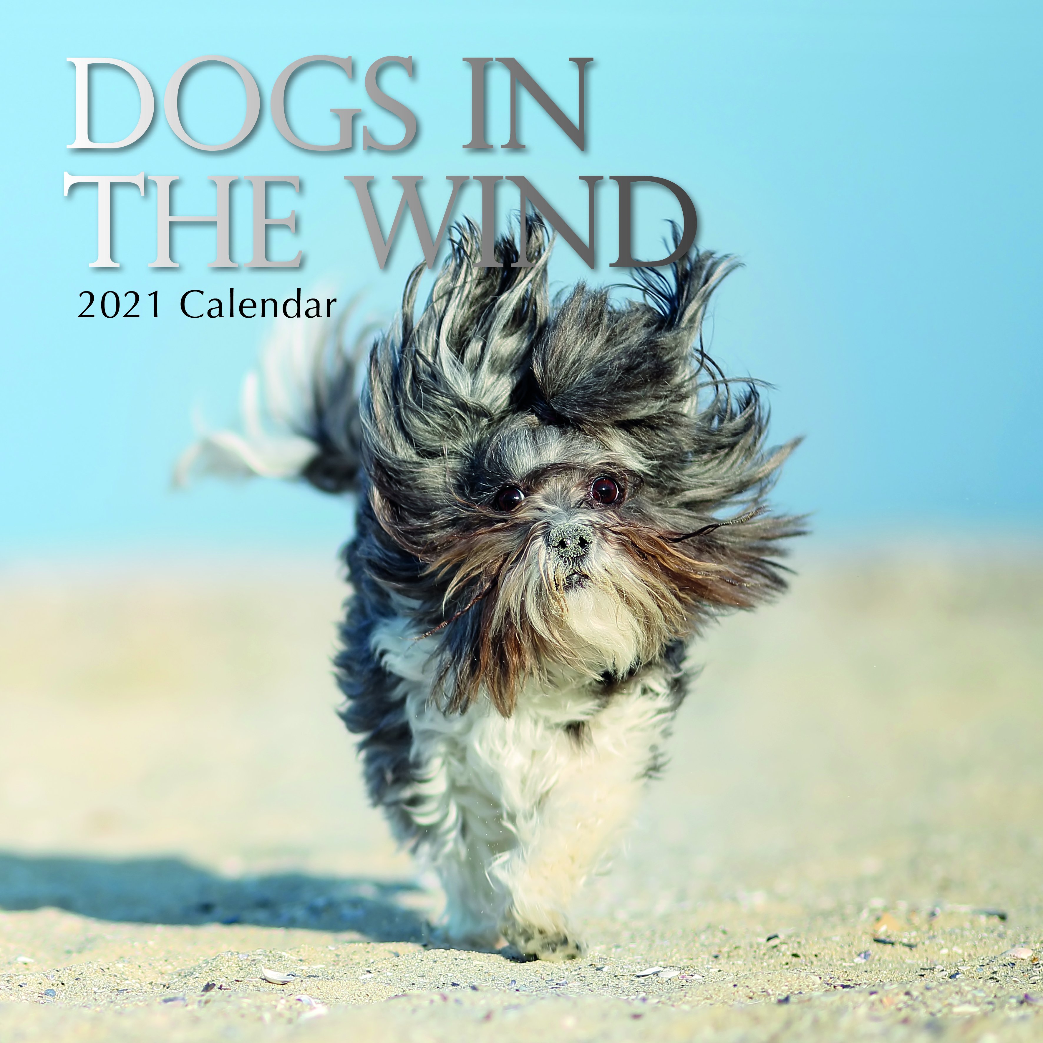 2021 SQUARE CALENDAR DOGS IN THE WIND Gifts & Greeting Cards