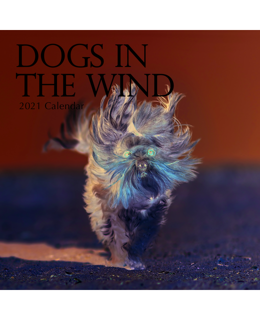 2021 SQUARE CALENDAR DOGS IN THE WIND Gifts & Greeting Cards