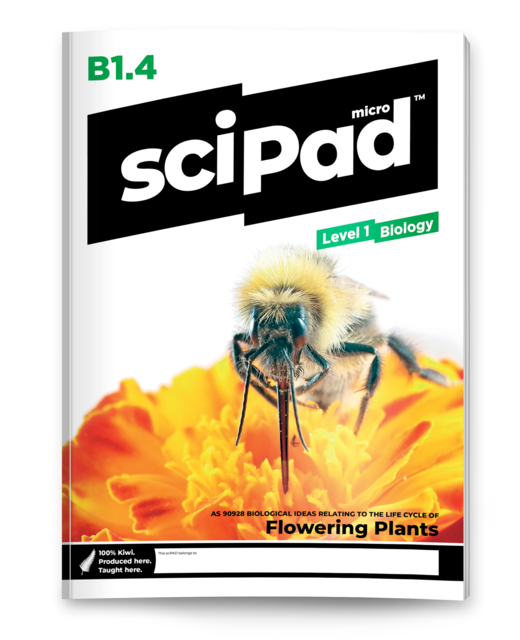 SciPAD Level 1 Biology 1.4 Flowering Plants